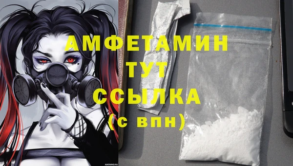 ГАЛЛЮЦИНОГЕННЫЕ ГРИБЫ Балахна