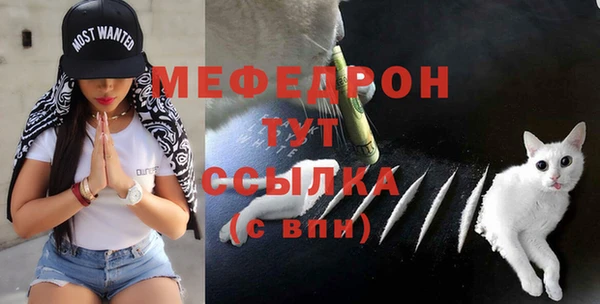 мяу мяу мука Арсеньев