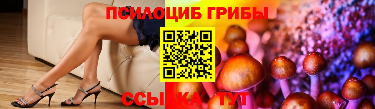 Кубинка  Псилоцибиновые грибы MAGIC MUSHROOMS  Вход с VPN 