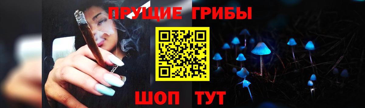 Псилоцибиновые грибы прущие грибы Кубинка