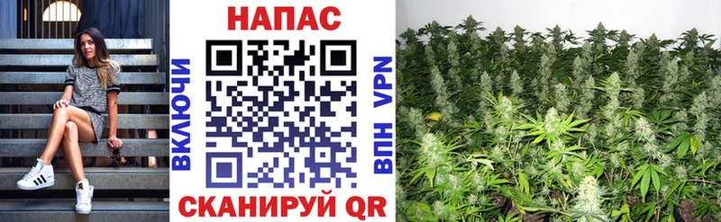 закладка  Кубинка  Каннабис гибрид 